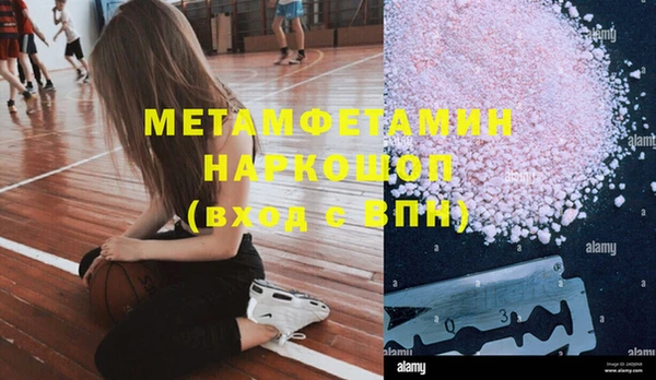 гидра Бронницы