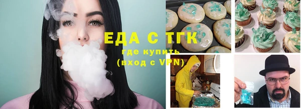 мдпв Бородино