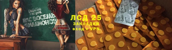 мдпв Бородино