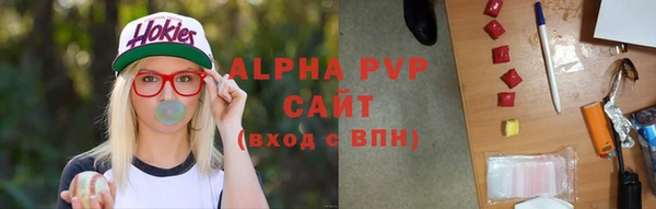 мдпв Бородино