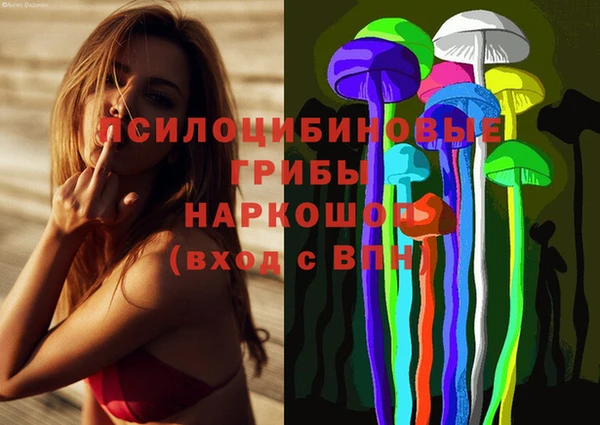 мдпв Бородино