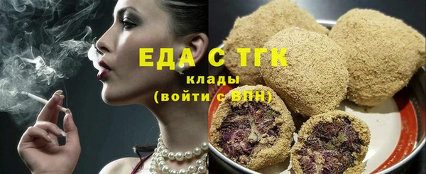 мдпв Бородино