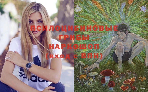 мдпв Бородино