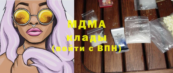 мдпв Бородино