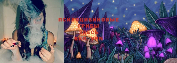 мдпв Бородино