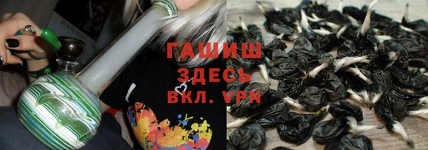 мдпв Бородино