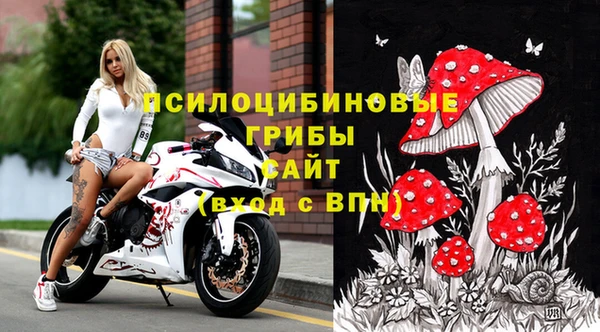 гидра Бронницы