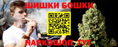 стафф Будённовск