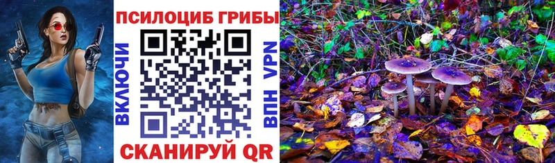 Псилоцибиновые грибы мухоморы  закладки  Городец 