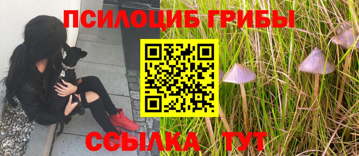 Псилоцибиновые грибы ЛСД Городец