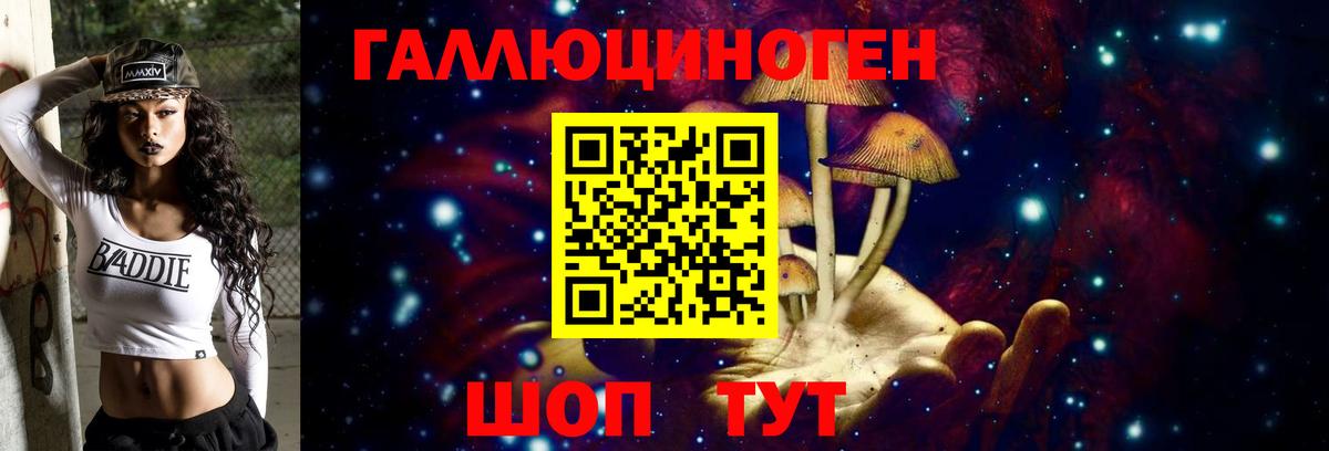 Псилоцибиновые грибы Psilocybe  Вход с VPN  Городец 
