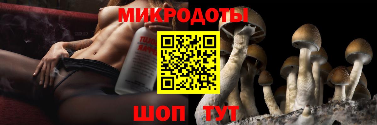 Галлюциногенные грибы MAGIC MUSHROOMS Городец